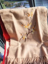 Sandra G. review photo