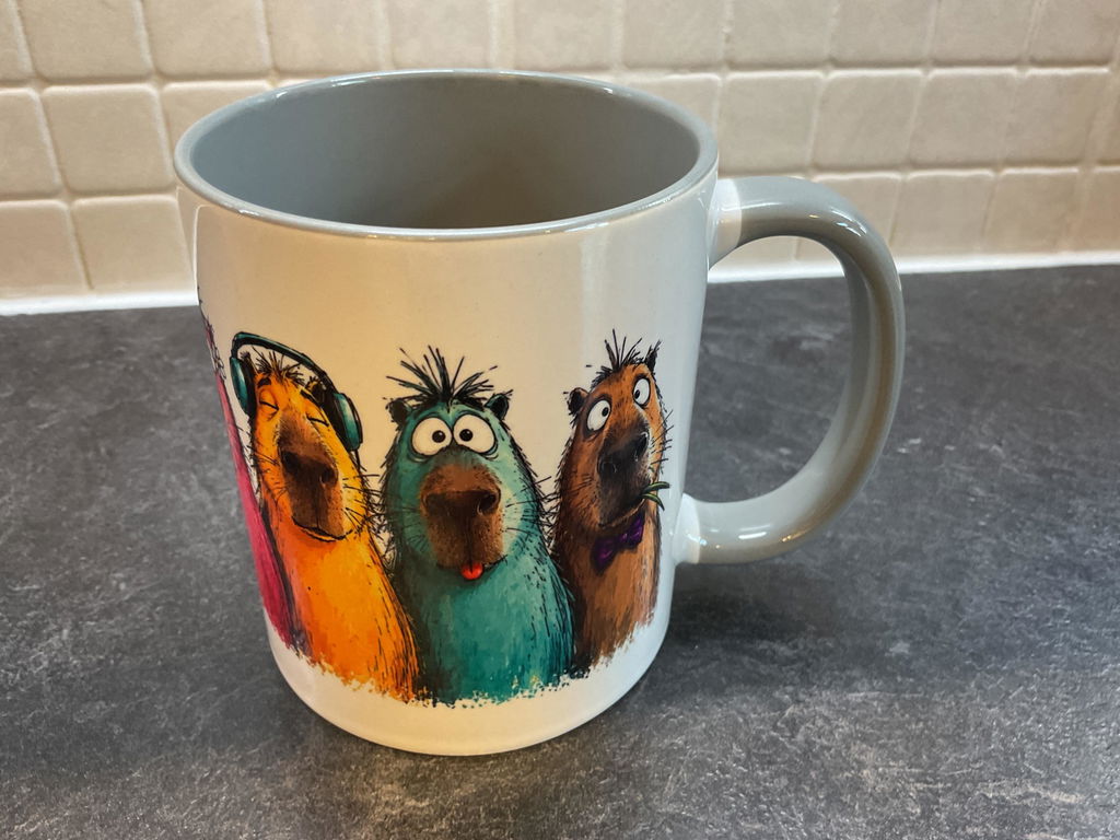 Funny Capybaras Mug | Cool Capybara Lover Gift