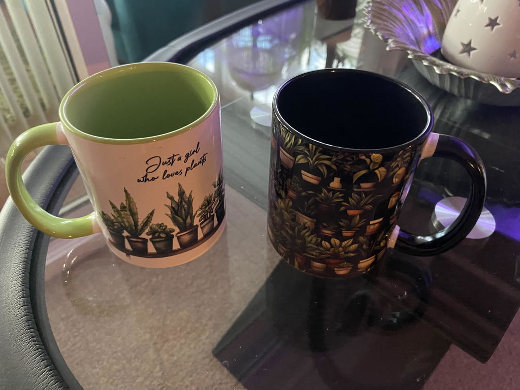 House Plants Full Wrap Mug – Design 14 | Overgrown Victorian Conservatory Shelves on Black | Art Mug