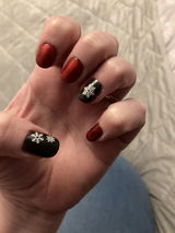 HayleyJo review photo