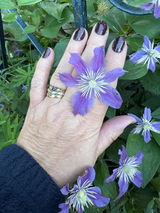 Rosemary H. review photo