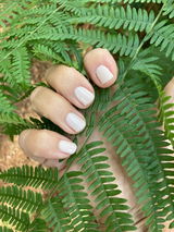 Anne R. review photo