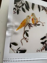 Sharin L. review photo