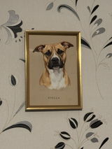 Mikaela M. review photo