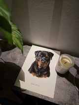 Isabell J. review photo