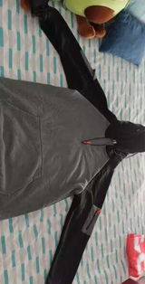Paulie review photo