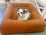Jax Bed -  Orthopaedic Memory Foam Dog Bed TERRACOTTA
