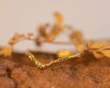 H review photo