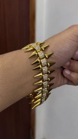 Shivam Thakur review photo