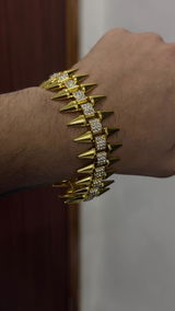 Shivam Thakur review photo