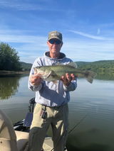 Roy Kuhns review photo