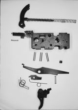 FlyingFox F14 review photo