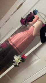 Rose review photo