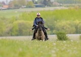Jacques Philippaerts review photo
