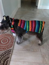Amazon Customer review photo
