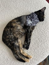 Nicole review photo
