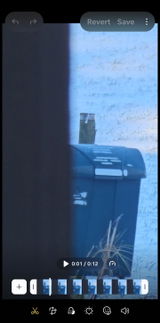 Gpdead review photo