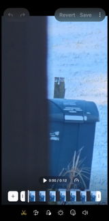 Gpdead review photo