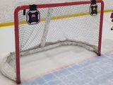JrCanes review photo