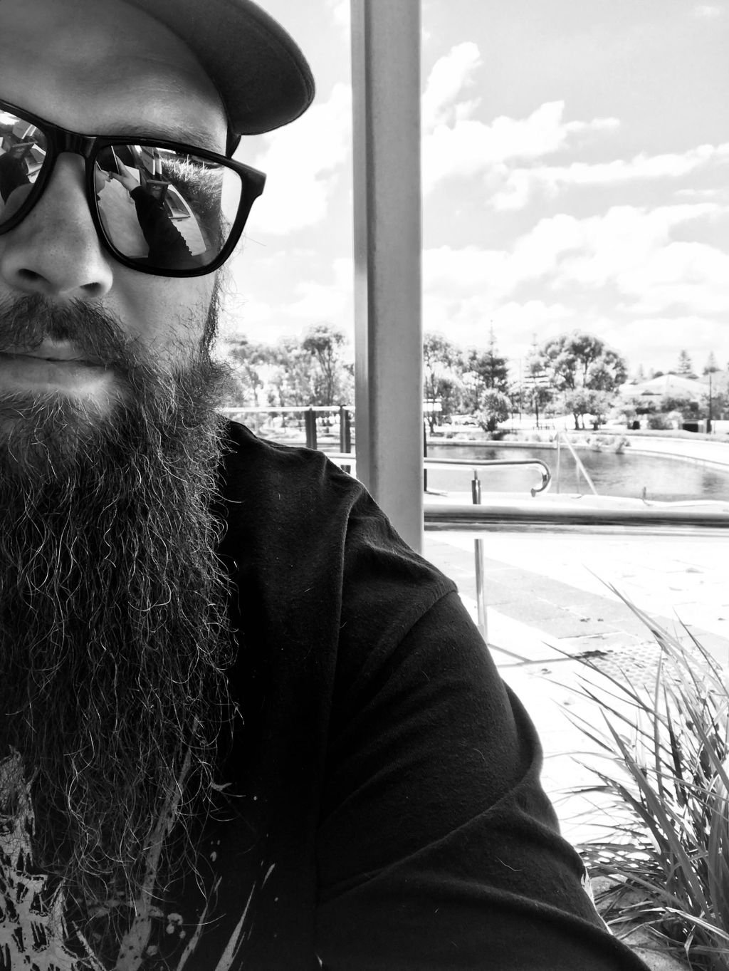 SKOL BEARD CO