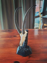 Ryno Viljoen review photo