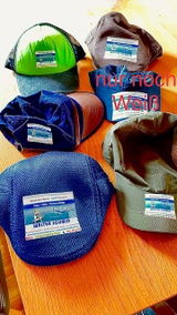 Walter Schmid review photo