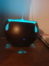 Sharon S. review photo