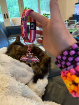 Lily Maddox review photo