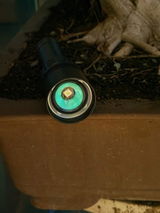 Matt P. review photo