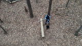 Nicholas H. review photo