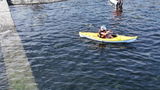 Susan Despins review photo