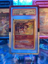 Collector review photo