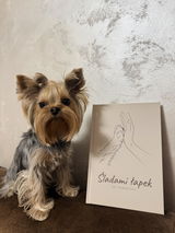 mia_yorkshireterier review photo