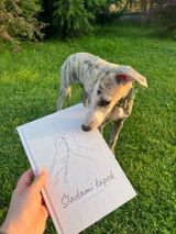 foula_thewhippet review photo