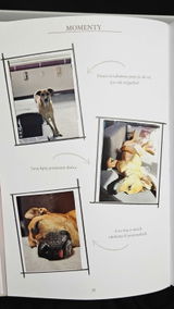 Viola & Gaja review photo