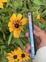 A.G. review photo