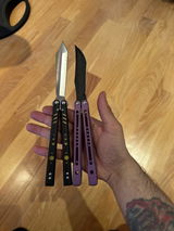 Paul Sabatino review photo