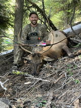 devin review photo