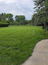 Glen F. review photo