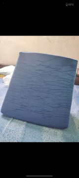 vishal s. review photo