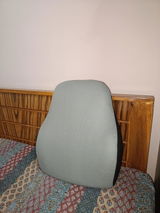 Satya review photo