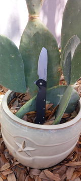 Daniel S. review photo