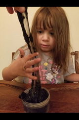Matayah B. review photo