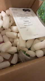 Bellafarmer review photo