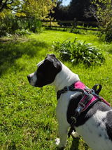 Michiell Maker review photo