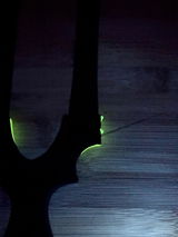 Adz.E review photo