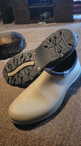 BravoGator review photo