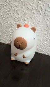 andrez review photo