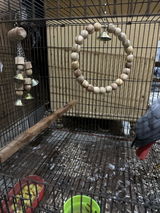 Zain Ul Abidin review photo