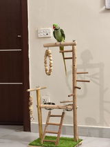Shayan Raza review photo